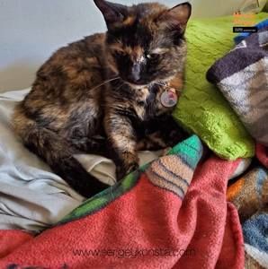 Meet your Posher, Kaitlin